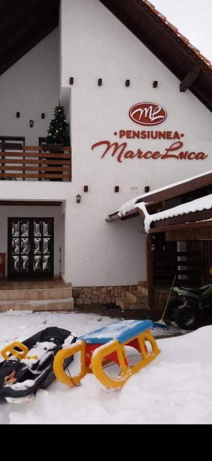 Pensiunea Marceluca Hotel Hodosa Exterior photo