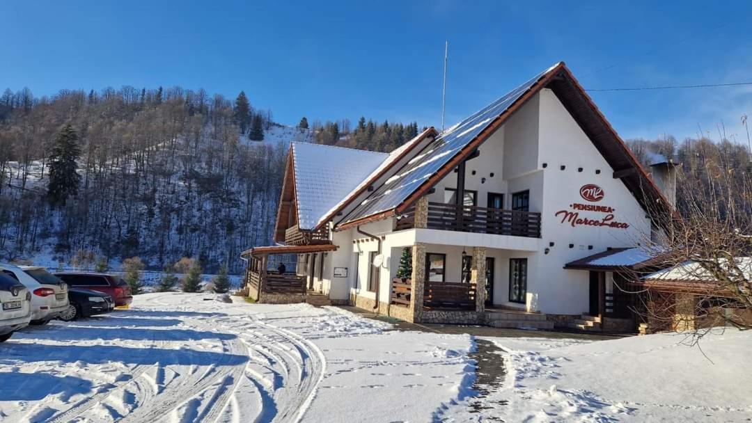 Pensiunea Marceluca Hotel Hodosa Exterior photo